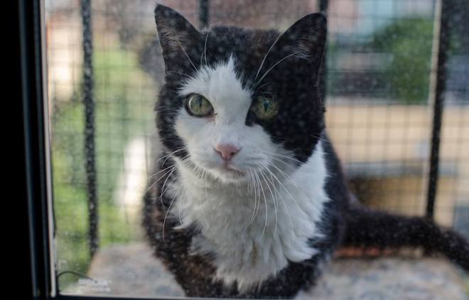 11030721_10206215678051438_6595565199280727136_n