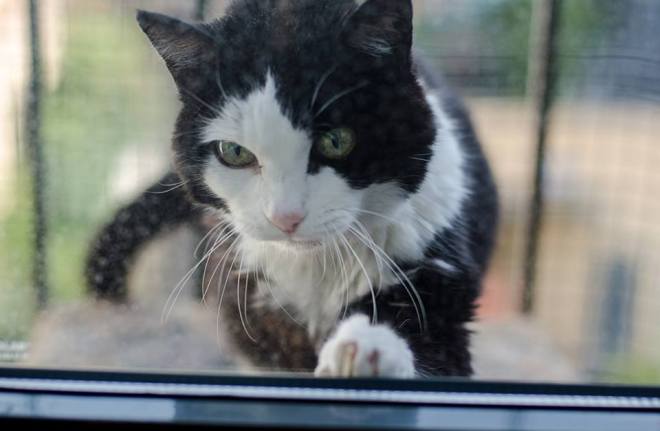 11071743_10206215678011437_2821908745726160836_n